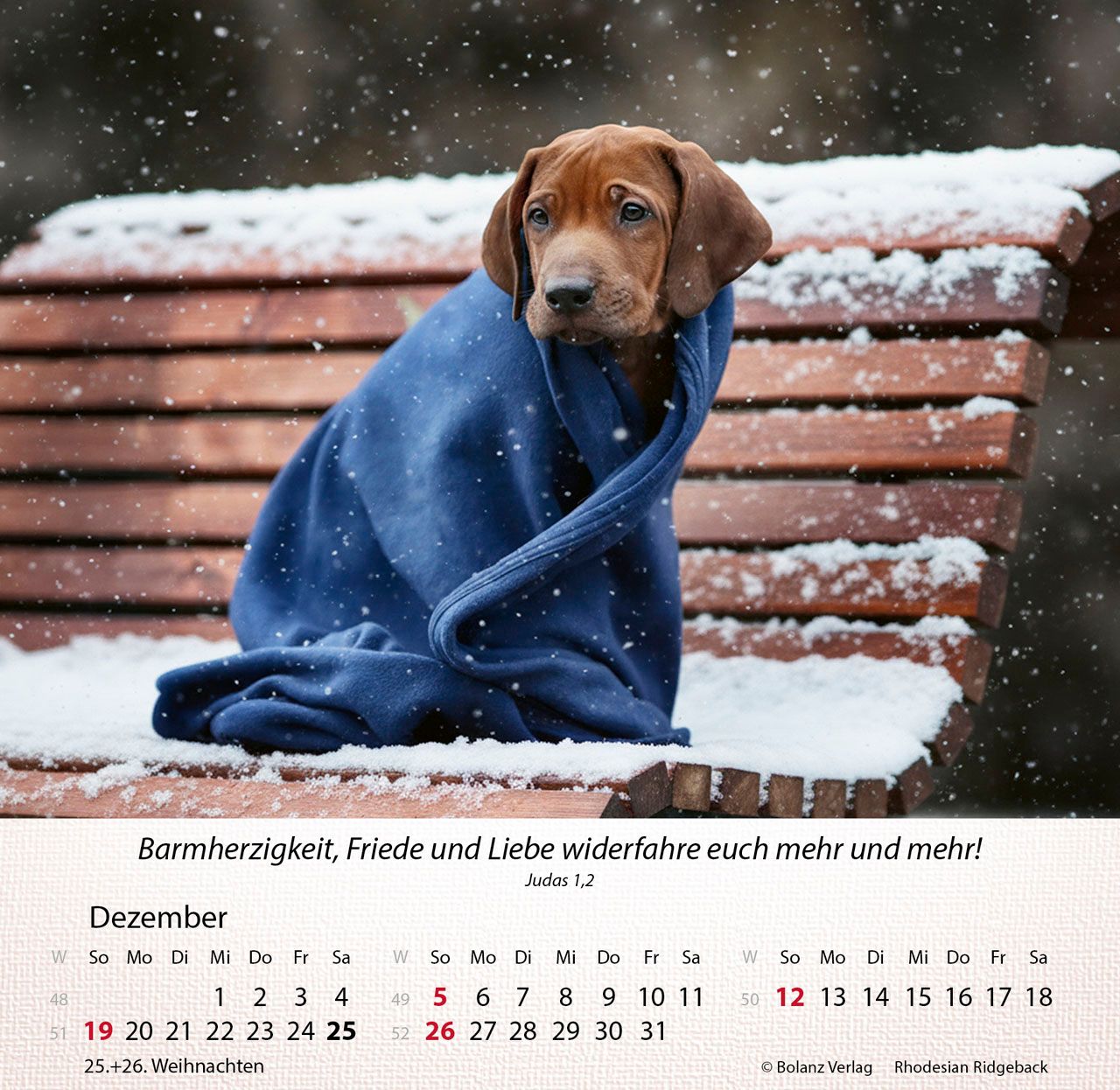 Tischkalender - Hunde 2027 Tischkalender