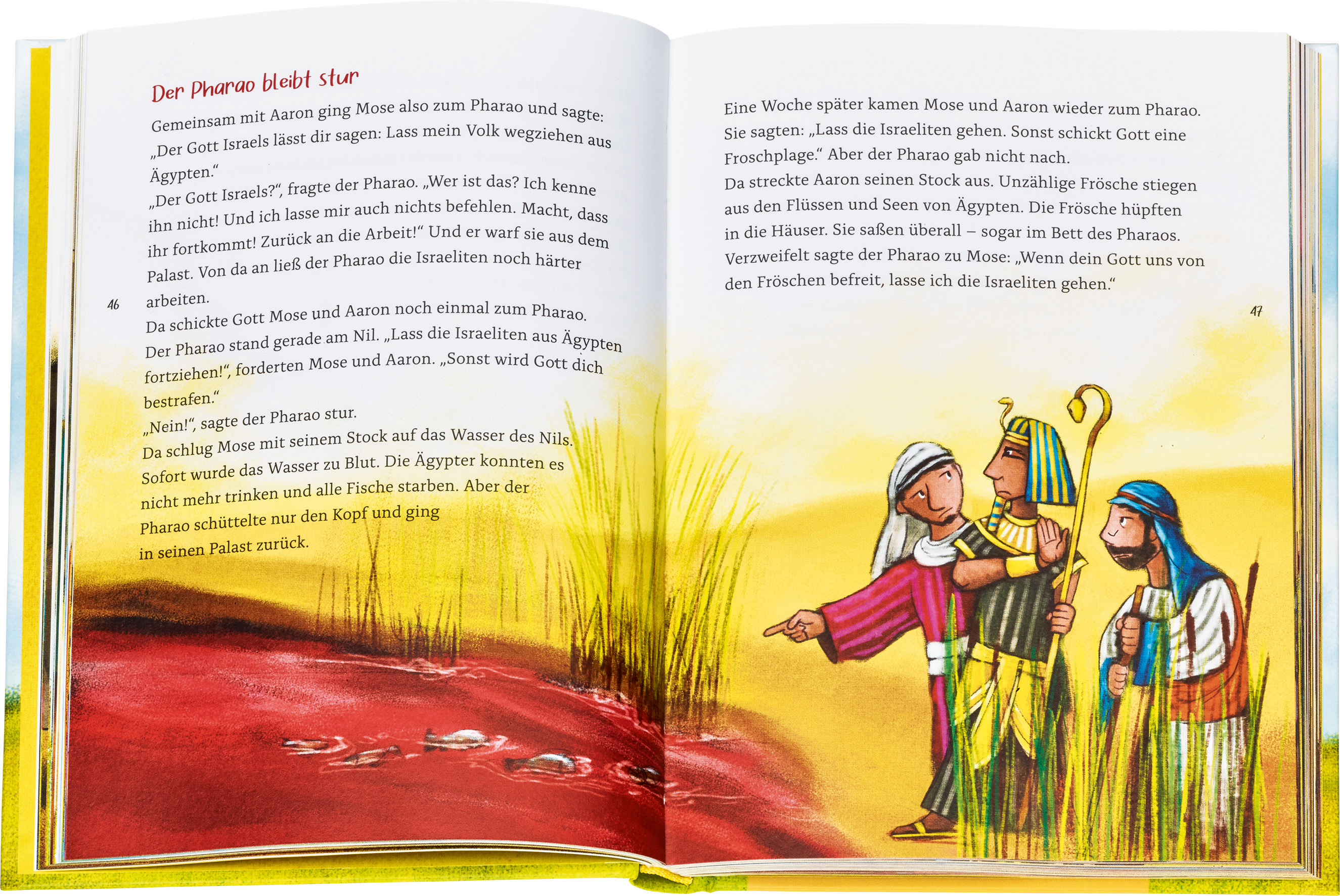 Kinderbibel - Die bunte Kinderbibel für dich - Wiese Menschen Himmel