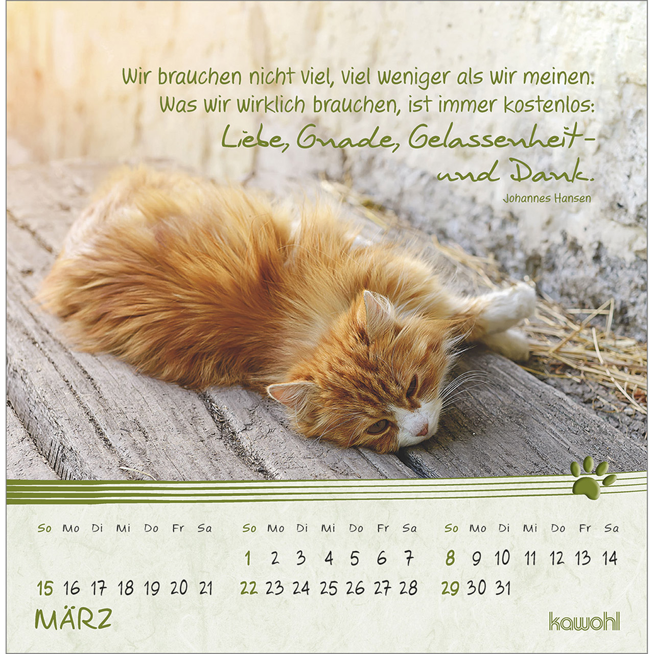 Postkartenkalender - Kleine Katzen-Tatzen 2026