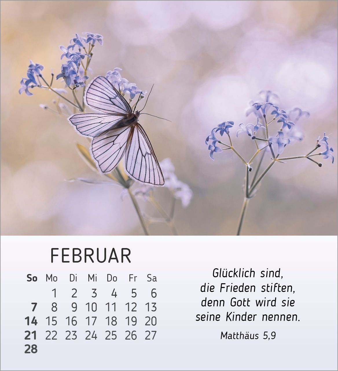 Tischkalender - Stille Begegnungen 2027