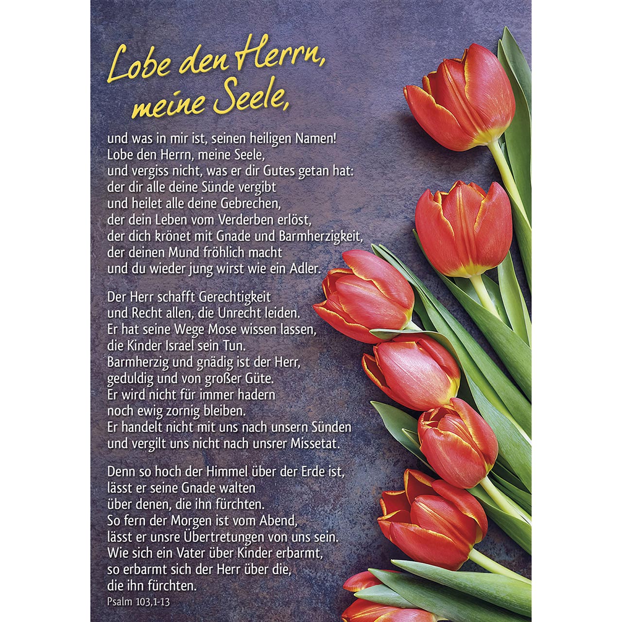 Lobe den Herrn Poster - Lobe den Herrn - rote Tulpen