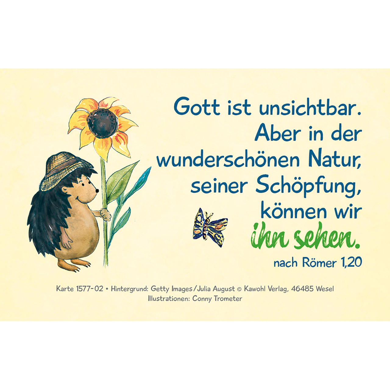 Karten-Box Kunststoff - Entdecke Gottes Liebe - Bibel-Impulse für Kinder - Igel Sonnenblume Herz Schmetterling