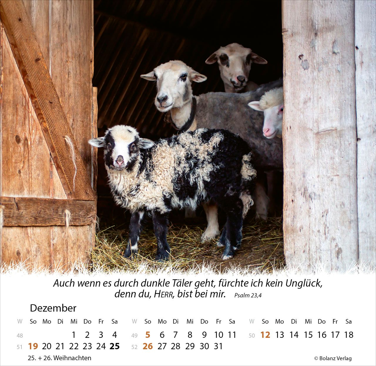 Tischkalender - Ein Leben für die Schafe 2027 Tischkalender