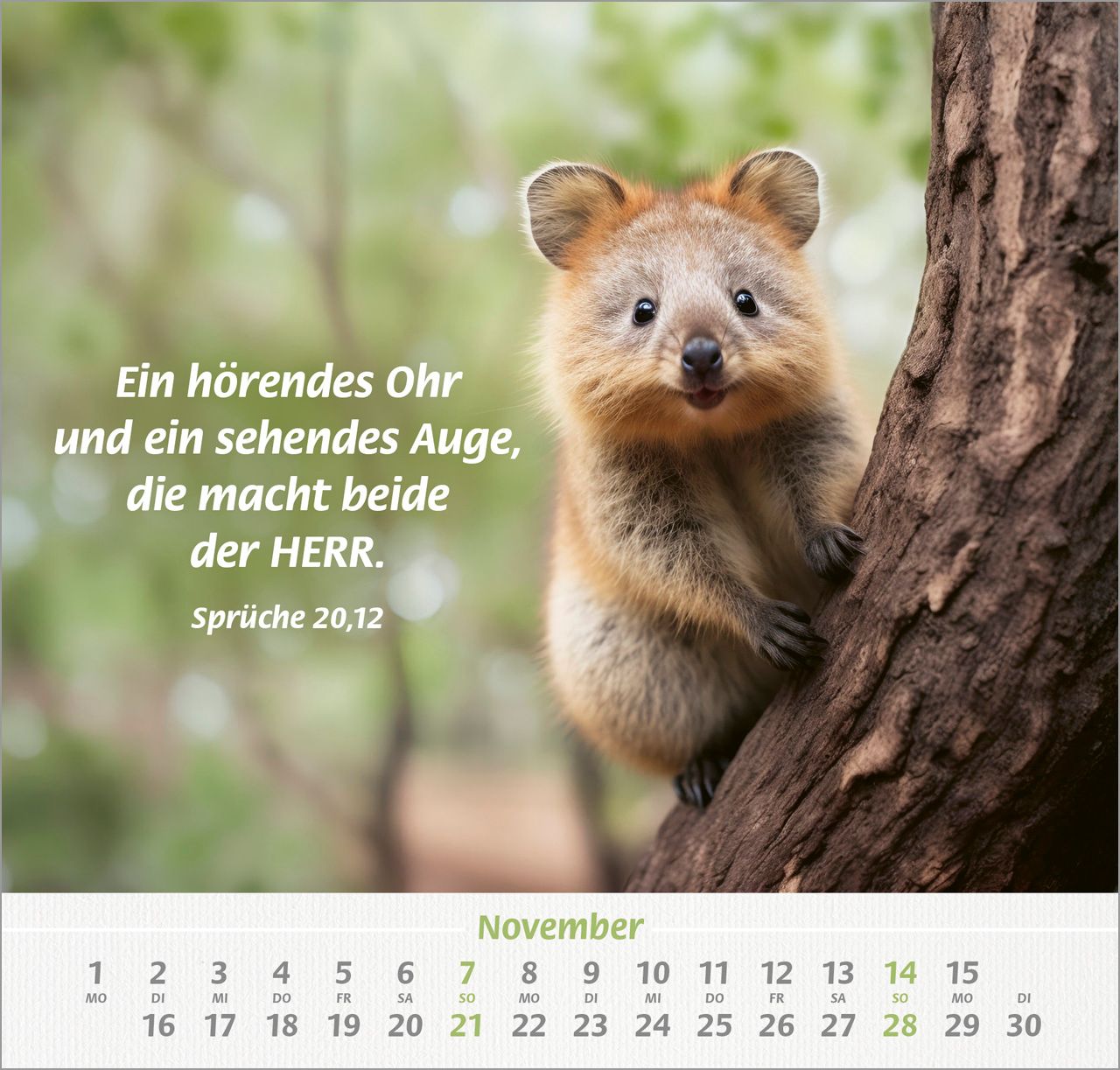 Wandkalender - Ich hab dich gern 2027 Wandkalender
