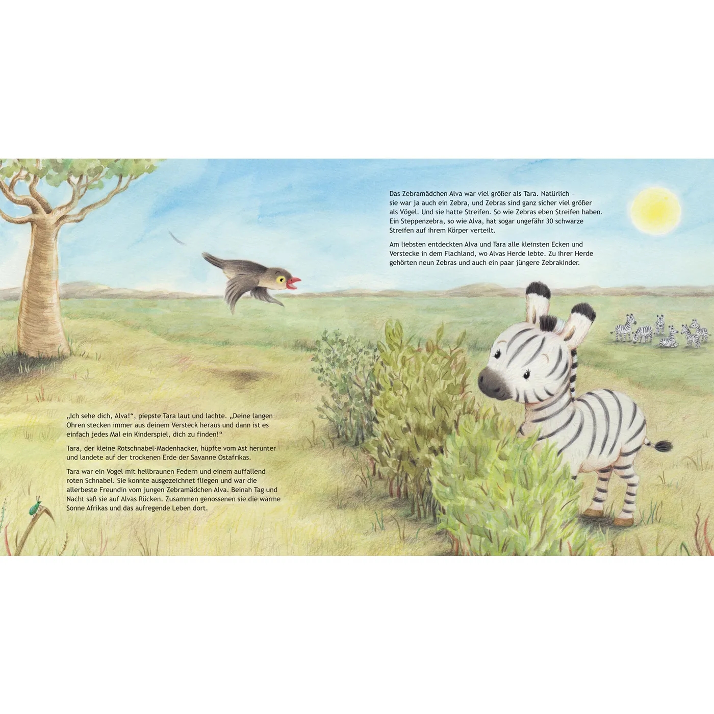 Buch - Du bist geliebt, kleines Zebra