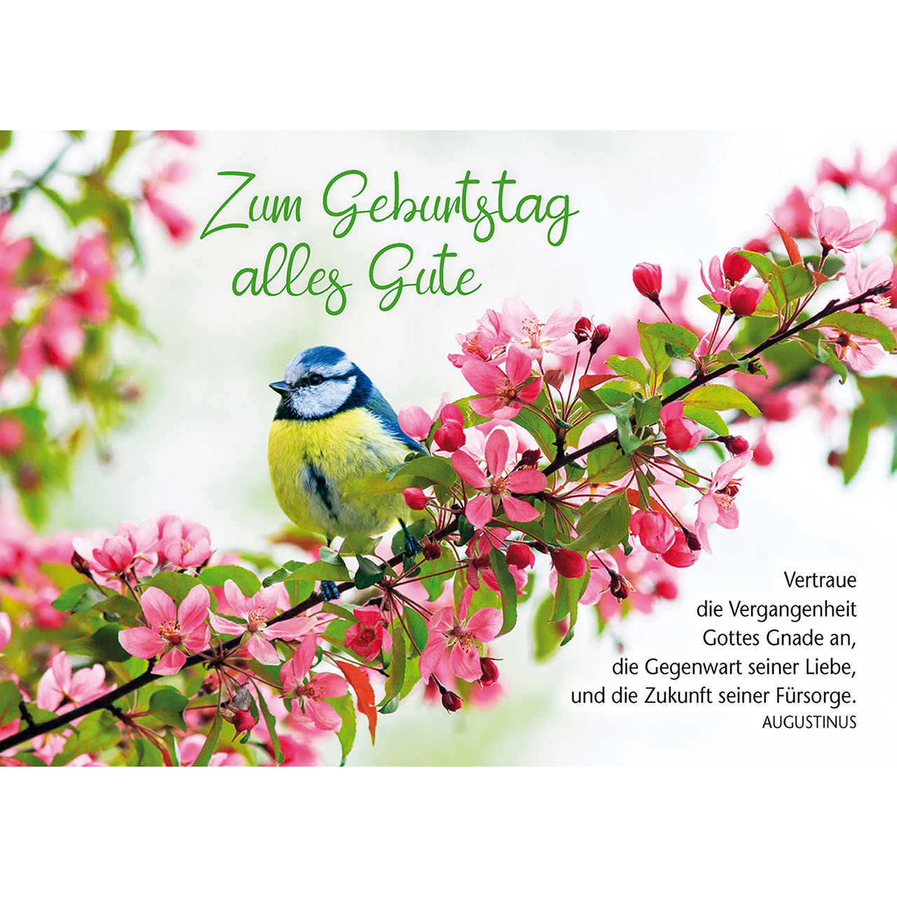Zum Geburtstag alles Gute