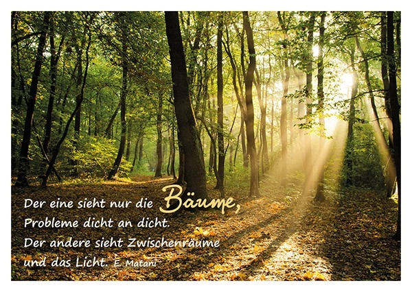 Postkarte 'Der eine sieht nur die Bäume'