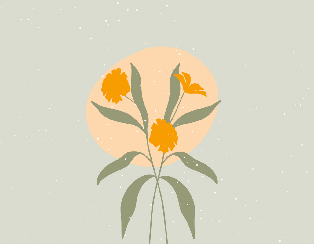 Karten-Box - wertvoll - 50 Verheißungen für dich (Box) - Karten-Box Blumen Blätter Orange