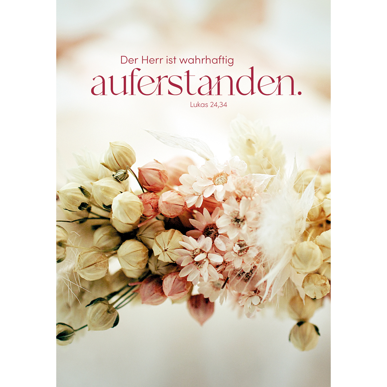Postkarten - auferstanden. - Trockenblumen