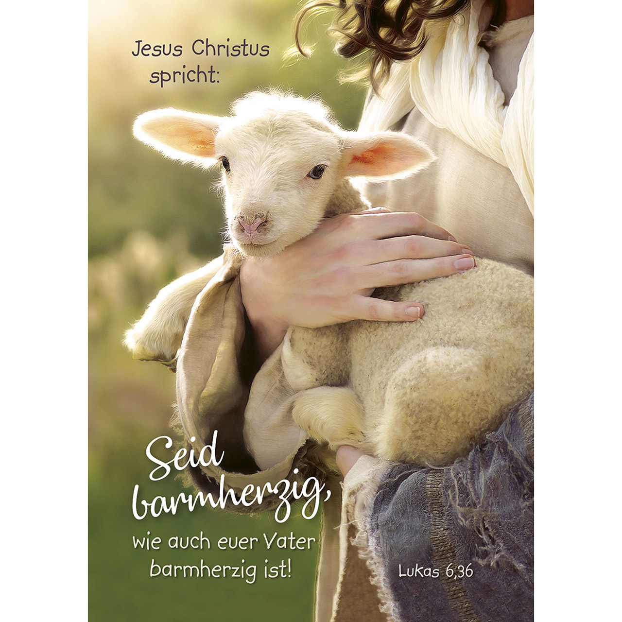 Seid barmherzig, wie auch euer Vater barmherzig ist! Poster - Seid barmherzig, wie auch euer Vater barmherzig ist! - Lamm / Schaf getragen