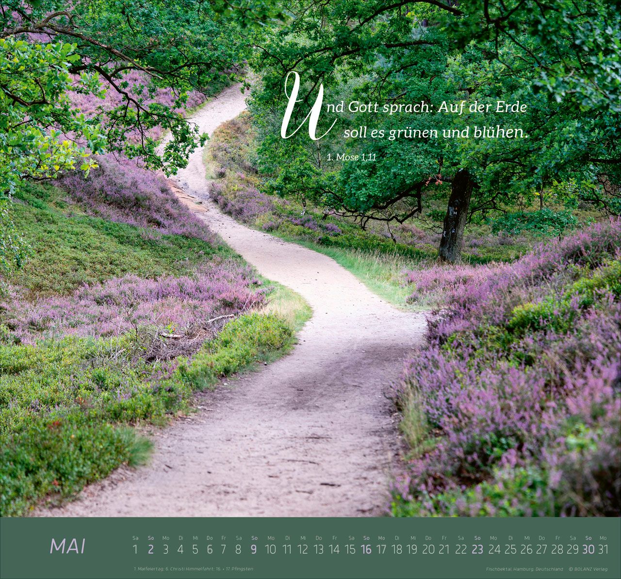 Wandkalender - Ich bin der Weg 2027 Wandkalender