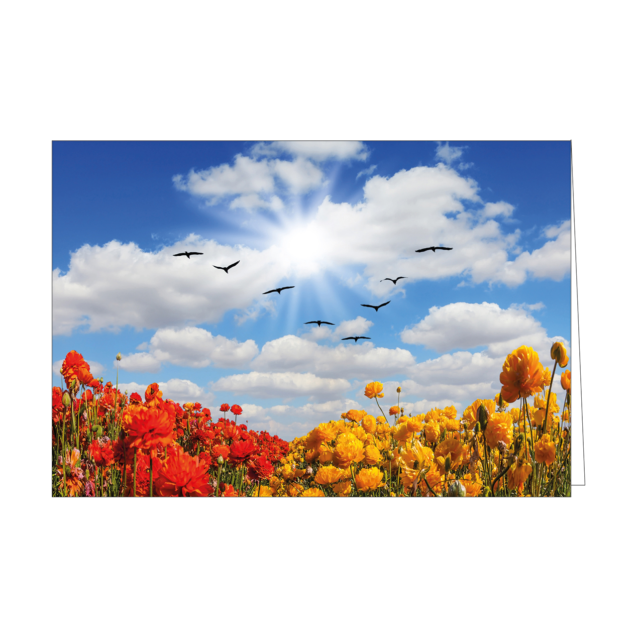 Faltkarten-Serie - Faltkartenserie Israel