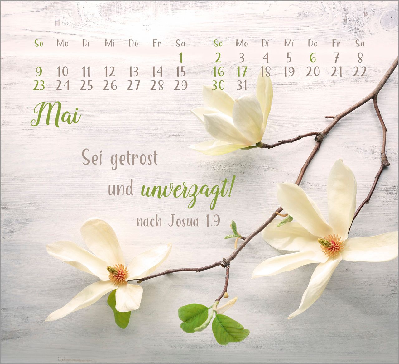 Tischkalender - Sei gesegnet! 2027