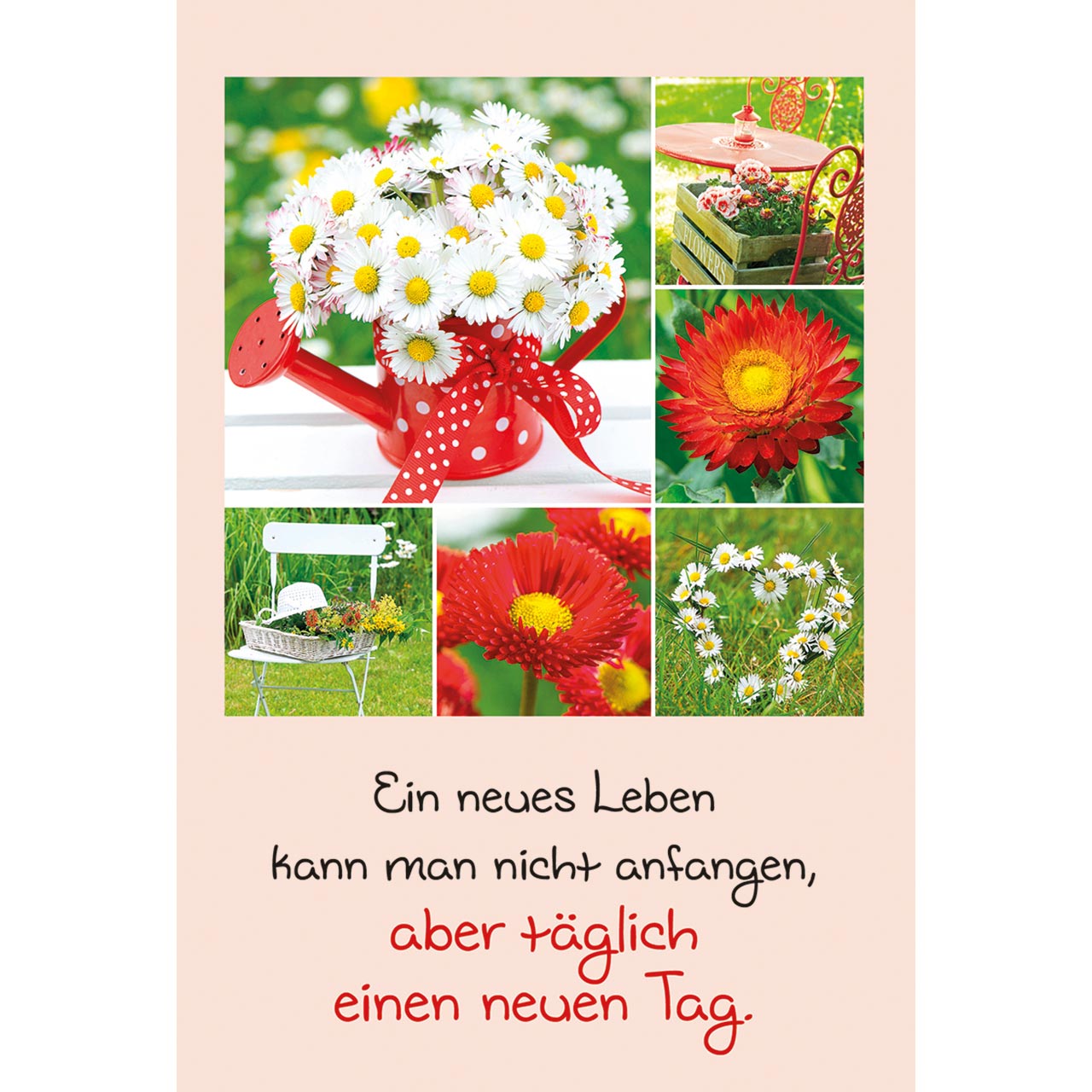 Ein neues Leben