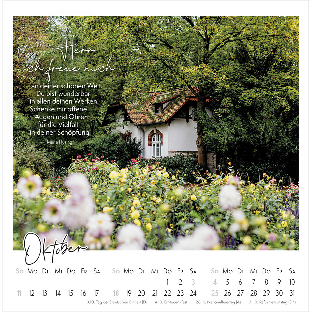 Postkartenkalender - Kleine Auszeit im Grünen 2026
