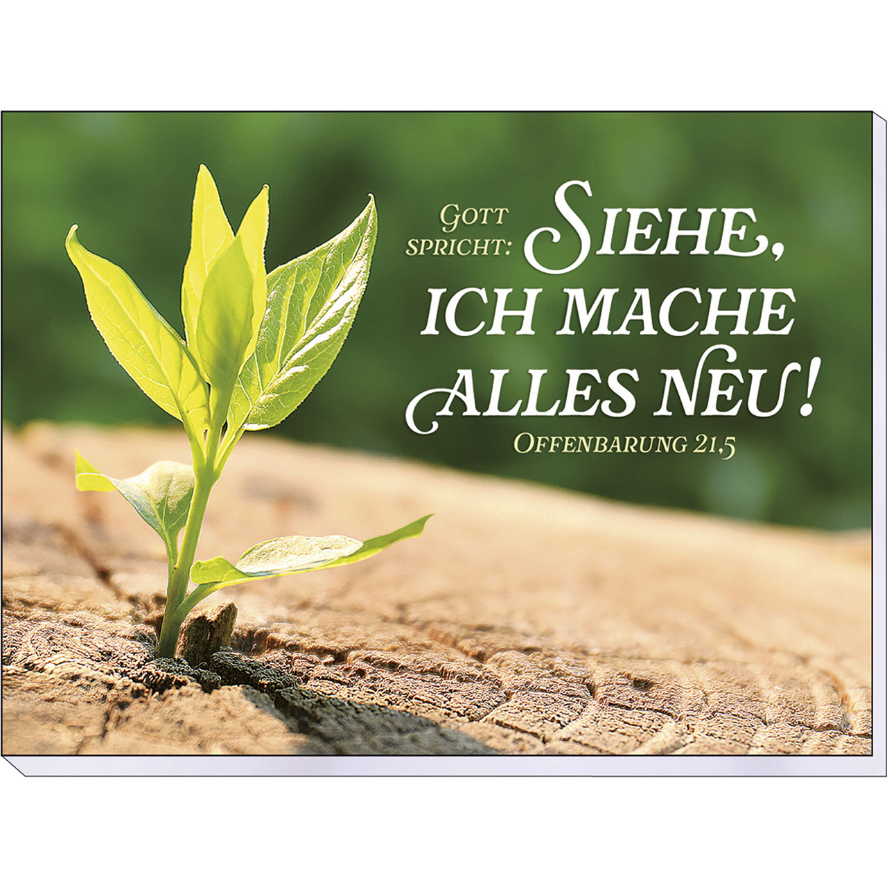 Gott spricht: Siehe, ich mache alles neu!