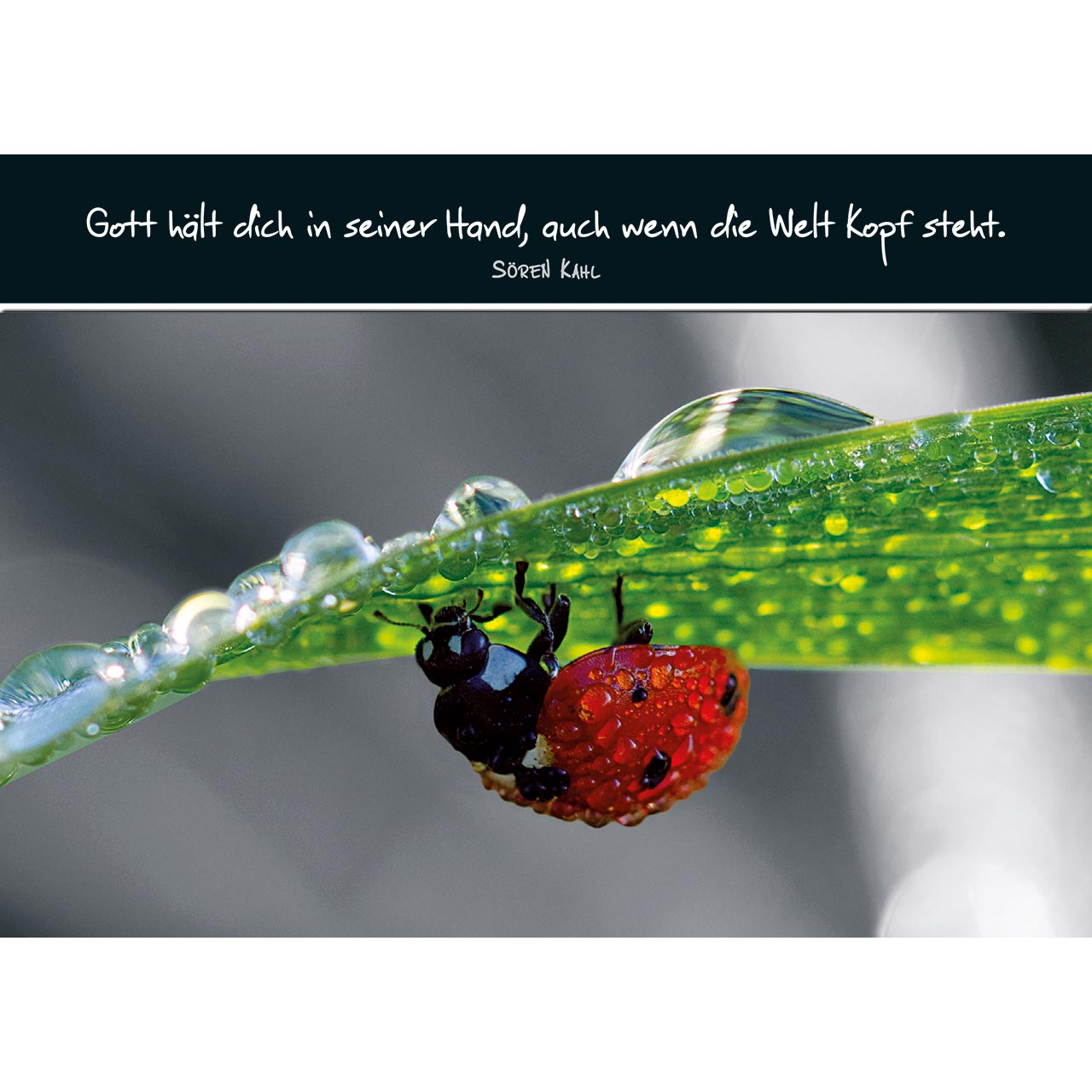 Gott hält dich in seiner Hand Gott hält dich in seiner Hand