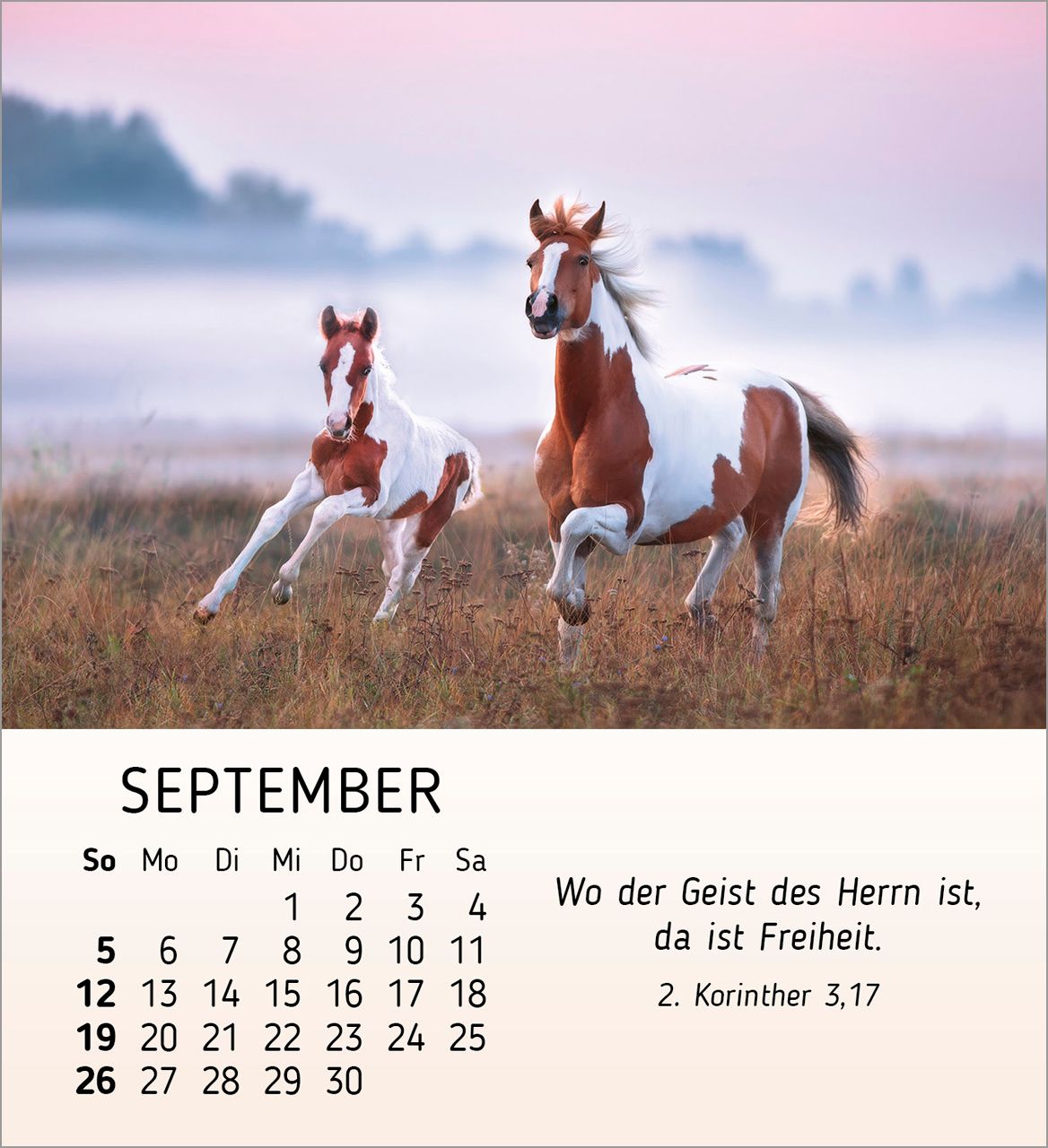 Tischkalender - Meine kleinen Freunde 2027