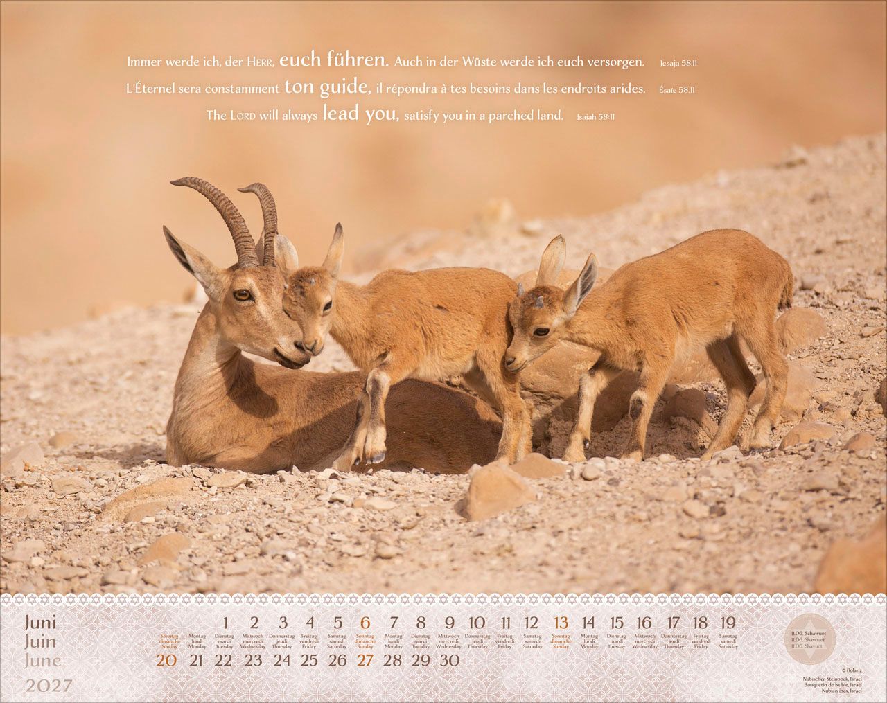 Wandkalender - Israel Shalom 2027 Wandkalender