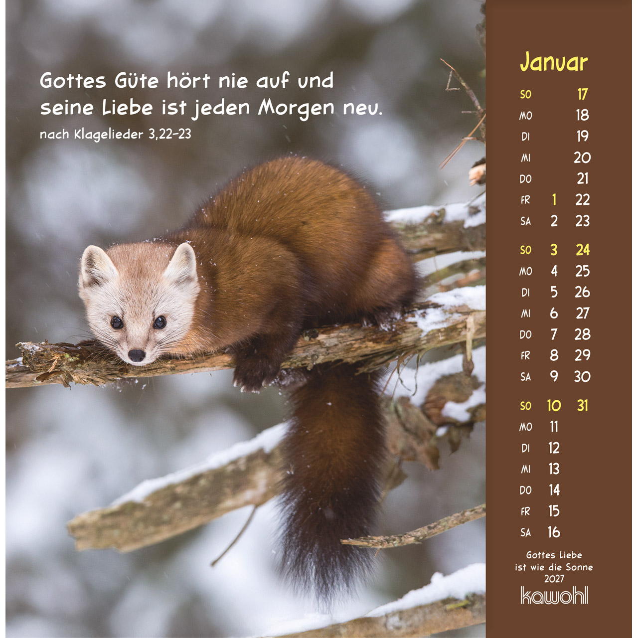 Postkartenkalender - Gottes Liebe ist wie die Sonne 2027