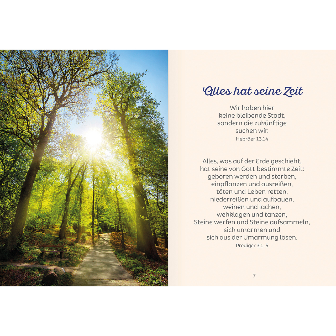 Grußheft - Du bist mein Trost - Seerose