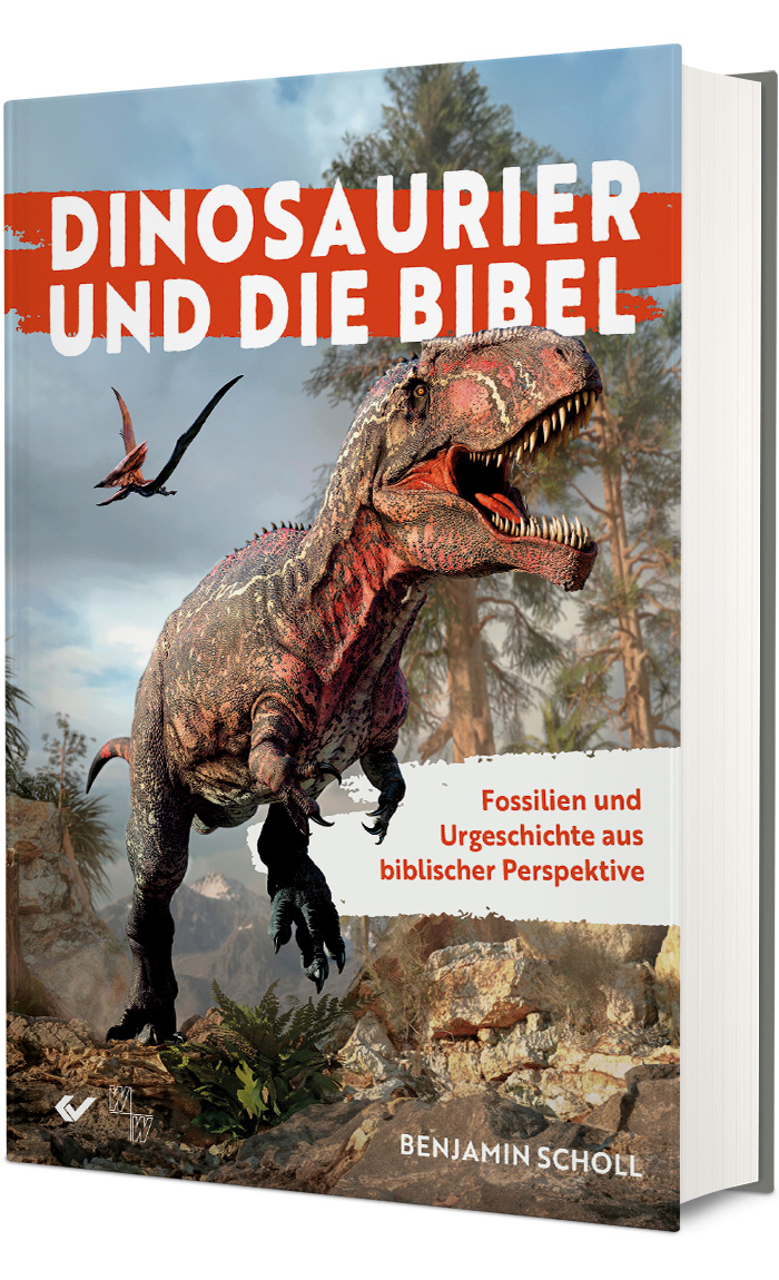 Buch - Dinosaurier und die Bibel - Dinosaurier Bäume Pflanzen Felsen