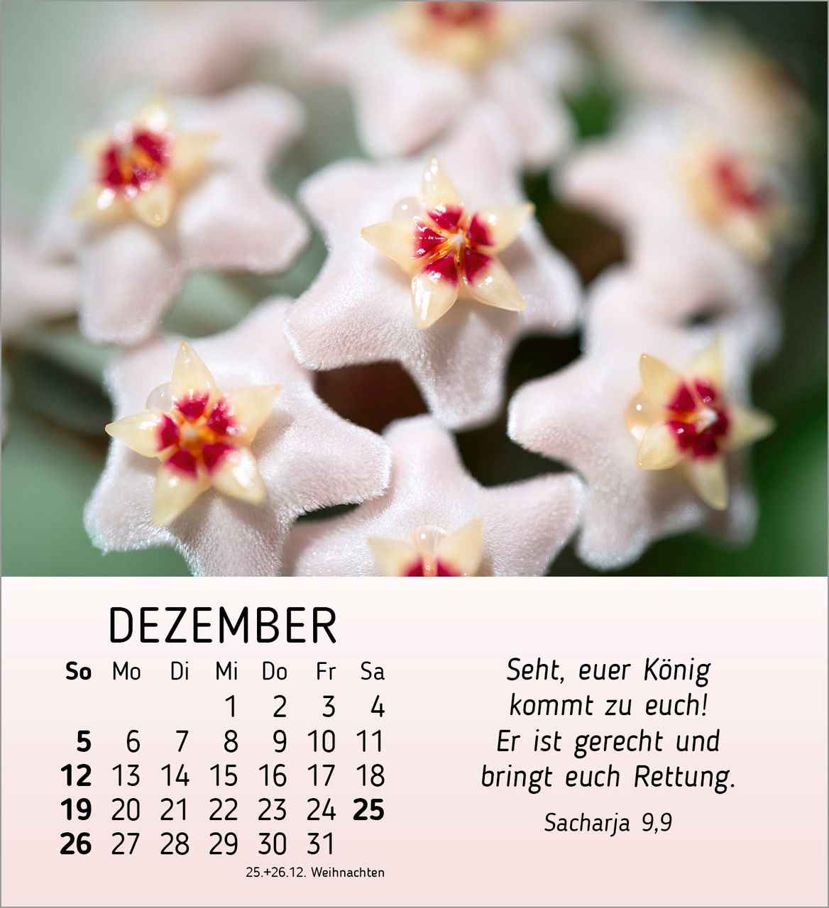 Tischkalender - Ich wünsch dir Freude 2027