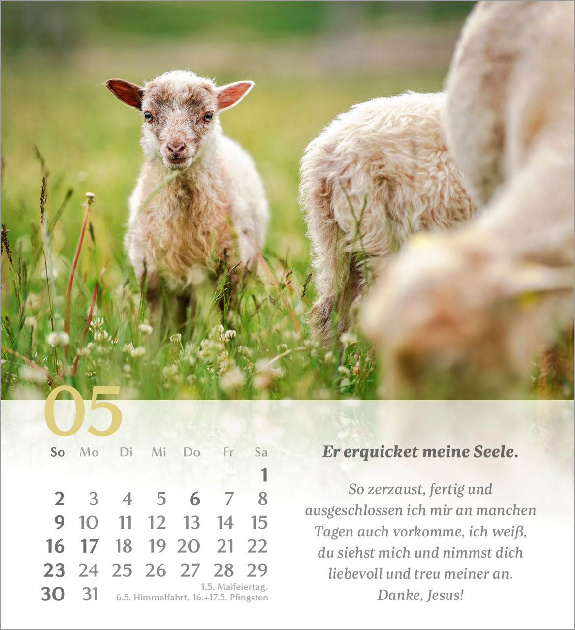 Tischkalender - Psalm 23 2027