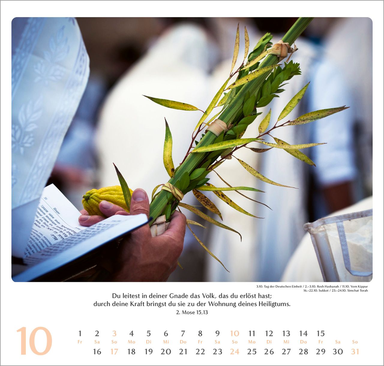 Wandkalender - Geliebtes Israel 2027 Wandkalender