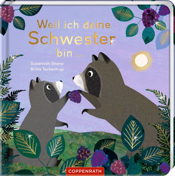 Buch - Weil ich deine Schwester bin ...
