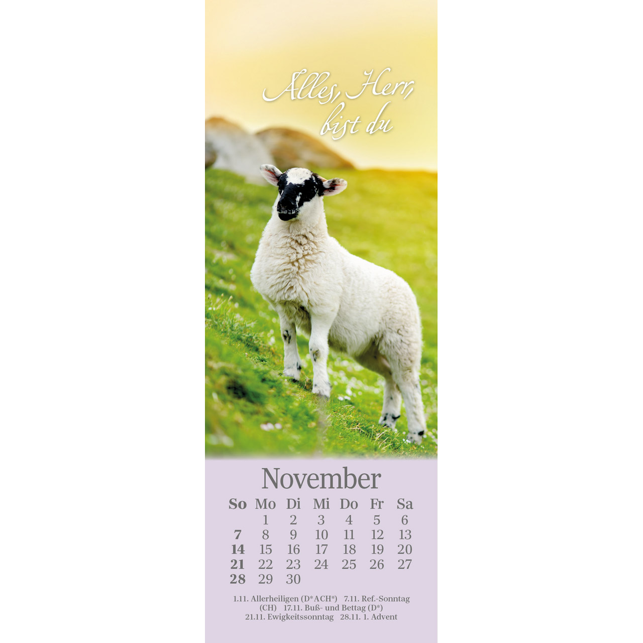 Lesezeichenkalender - Sei behütet jeden Tag 2027