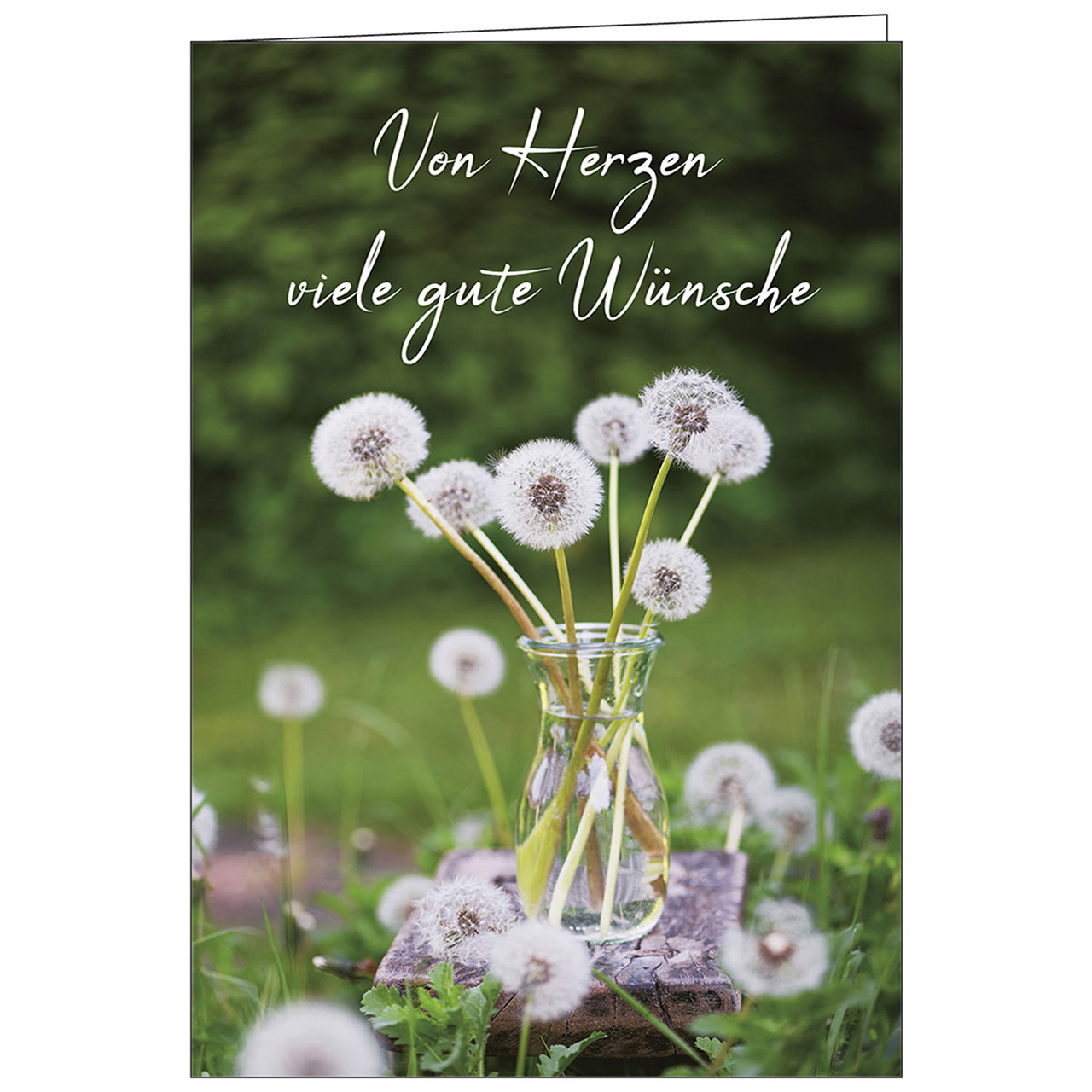 Von Herzen viele gute Wünsche