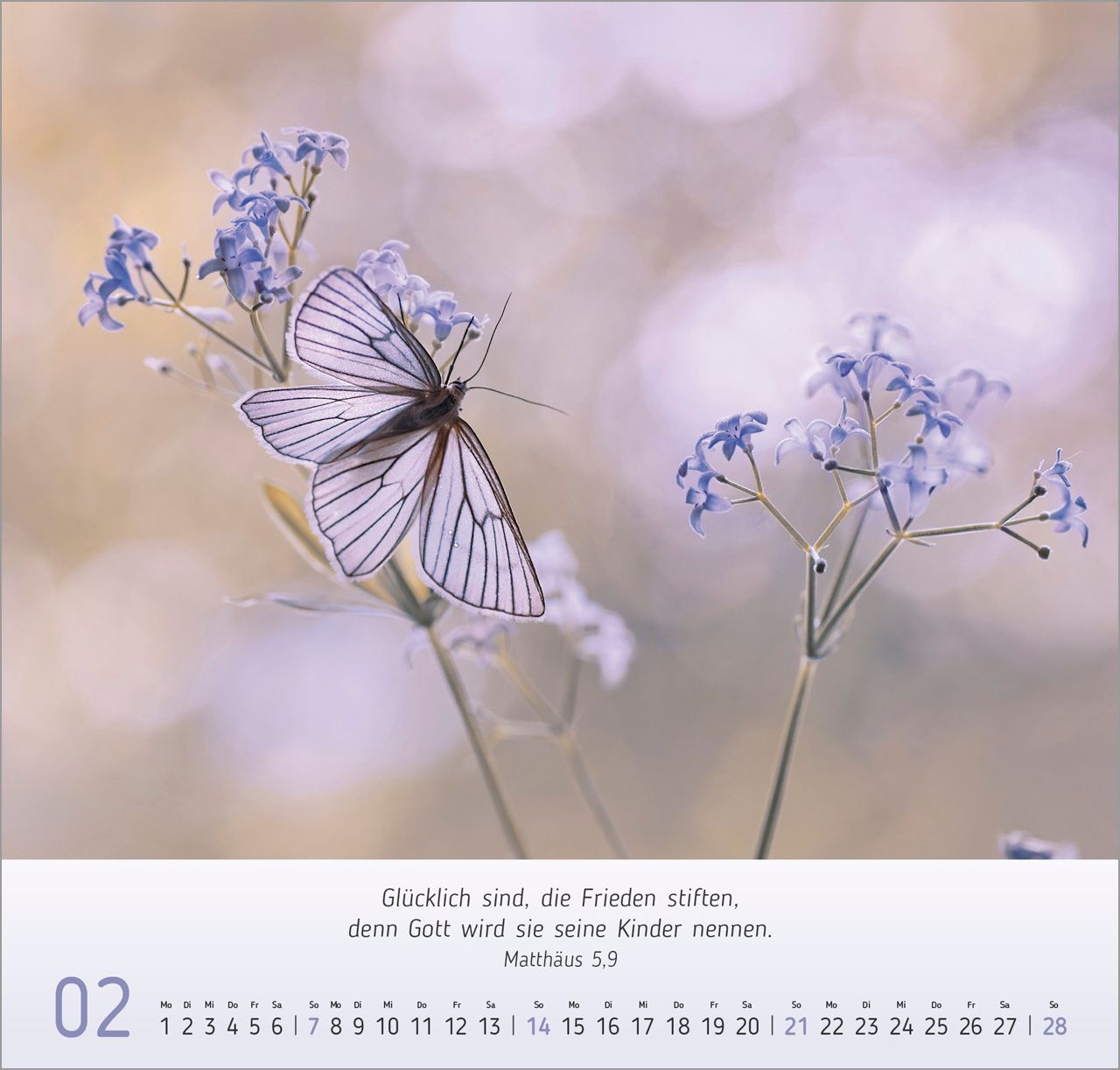 Wandkalender - Gesichter der Natur 2027