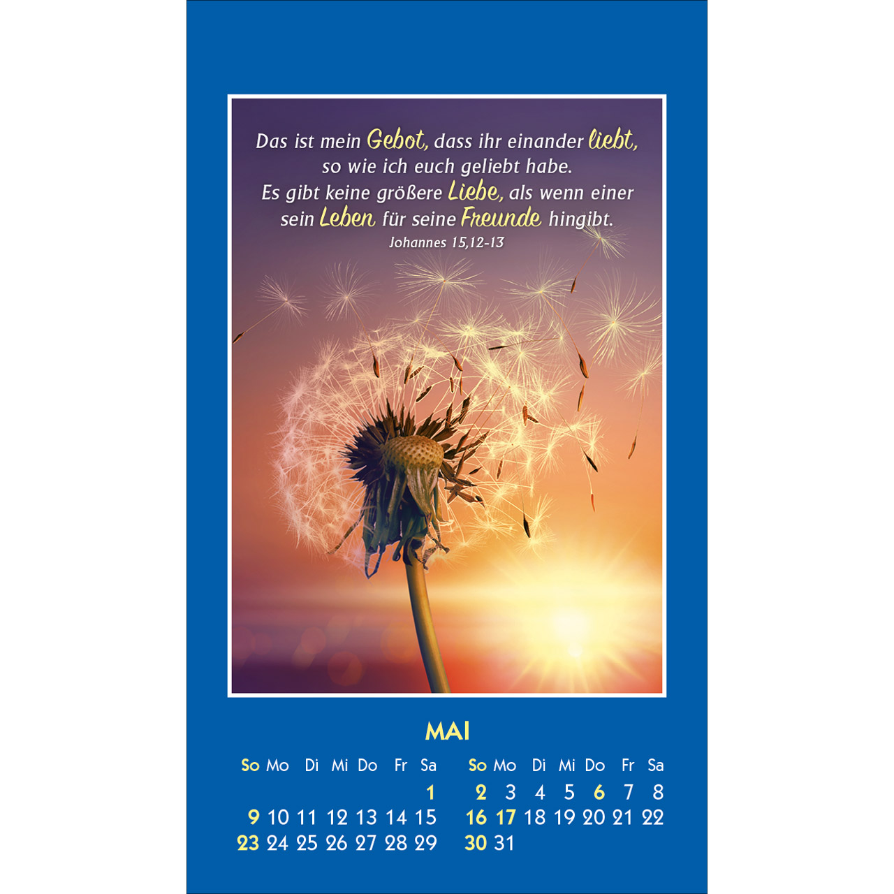 Aufkleberkalender - Gottes Wort - Licht für den Tag 2027