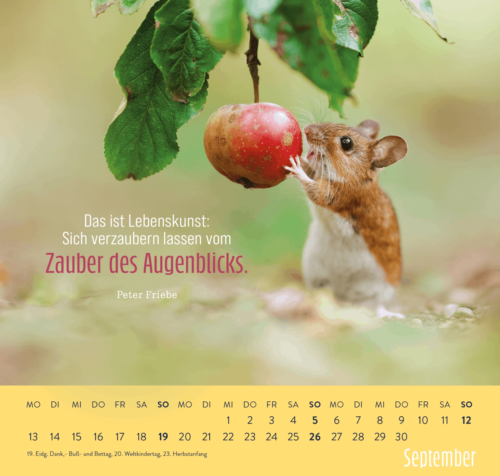 Wandkalender - Kleine Glücksbringer für dein Jahr 2027