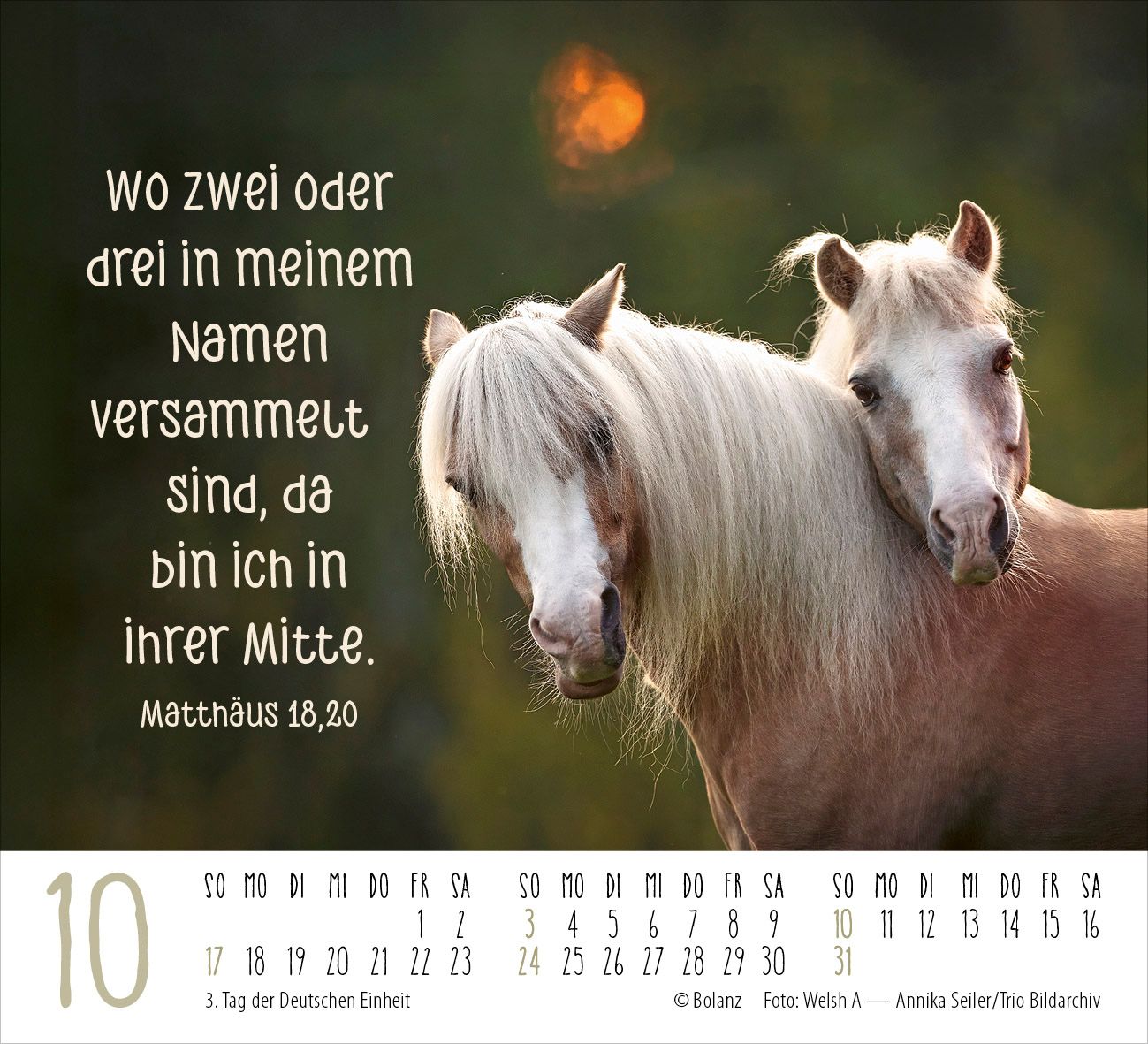 Aufstellkalender - Pferde 2027