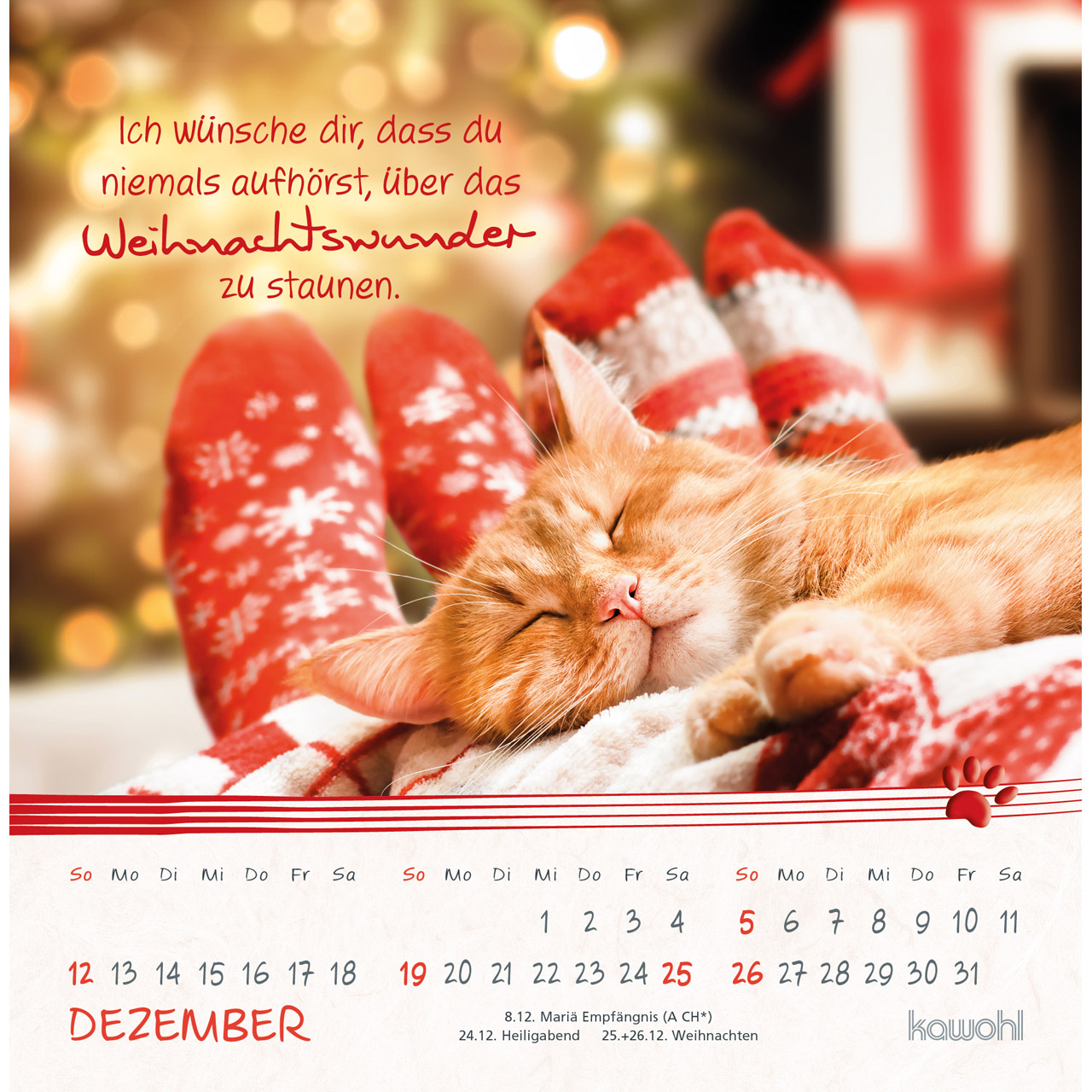 Postkartenkalender - Kleine Katzen-Tatzen 2027