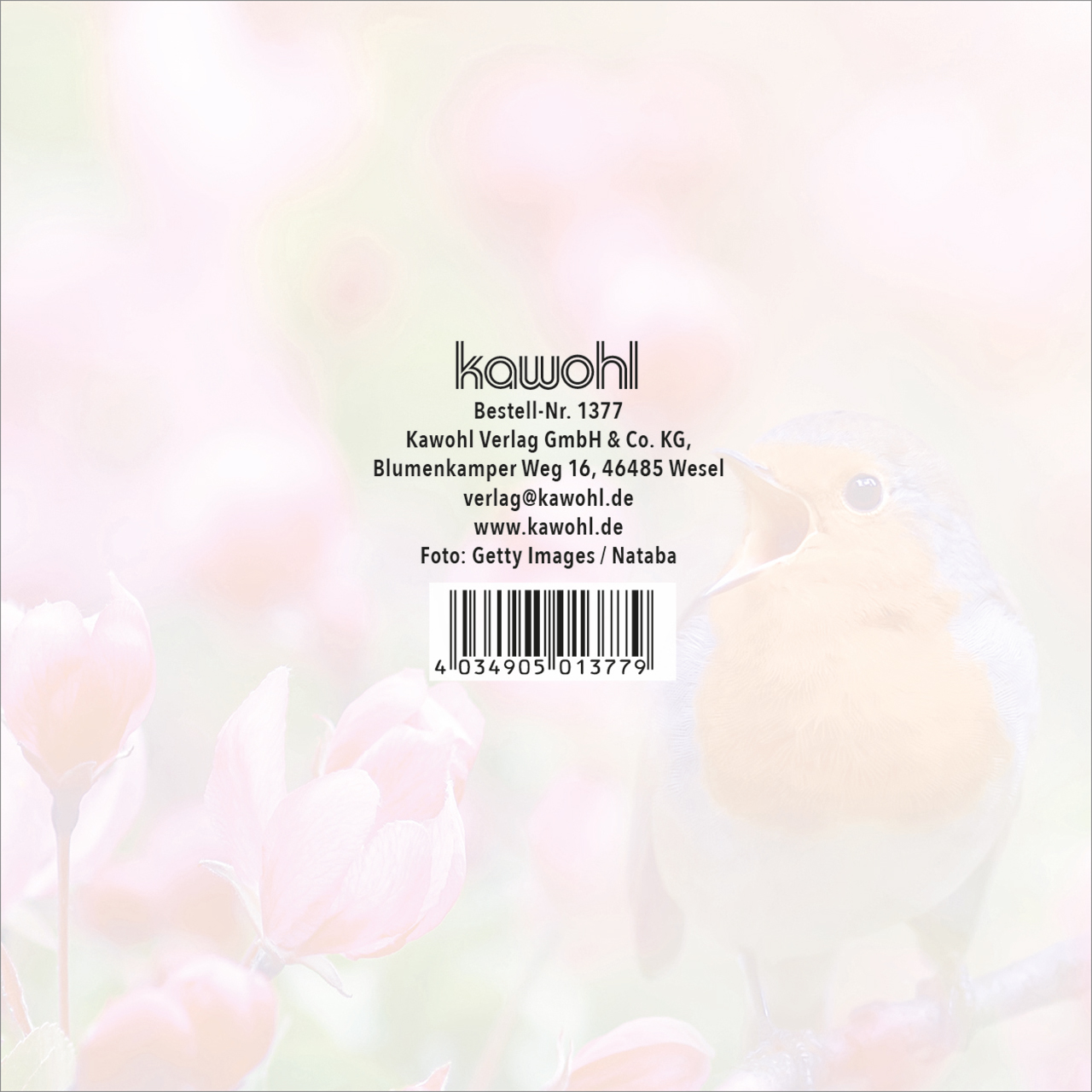 Notizblock - Lobe den Herrn, meine Seele - Rotkehlchen singend Blumen pink Ast