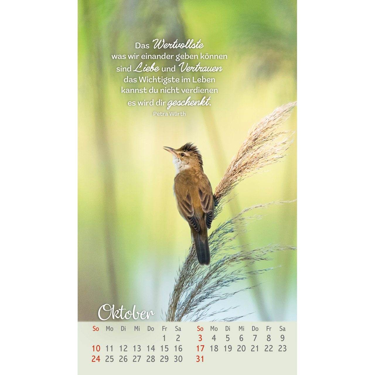 Postkartenkalender - Beflügelt und geborgen 2027
