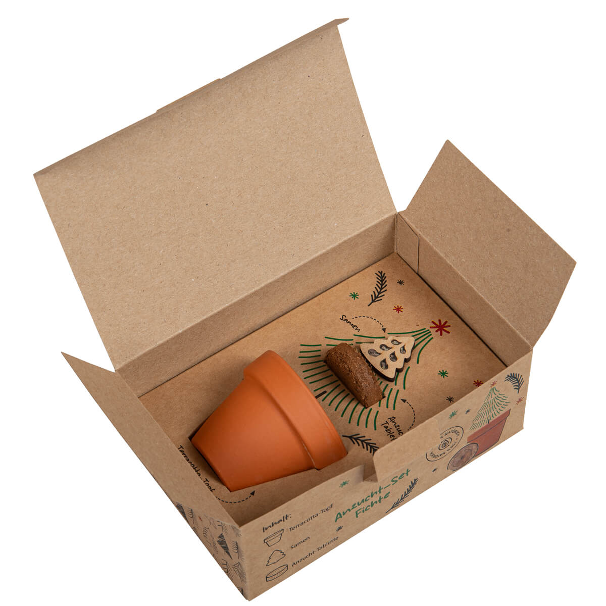 Saatgut - Anzucht-Töpfchen Fichte in Geschenkbox