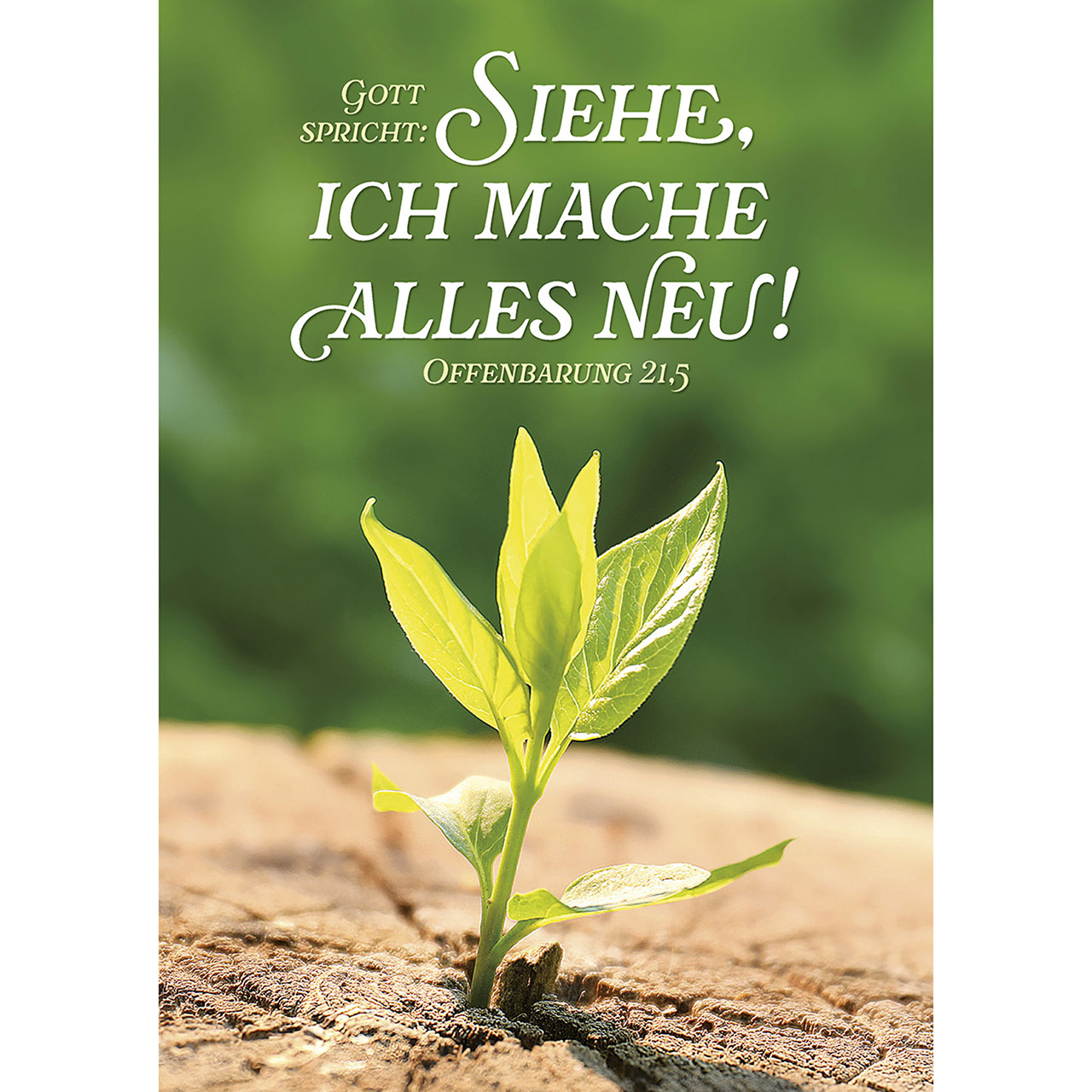 Gott spricht: Siehe, ich mache alles neu!