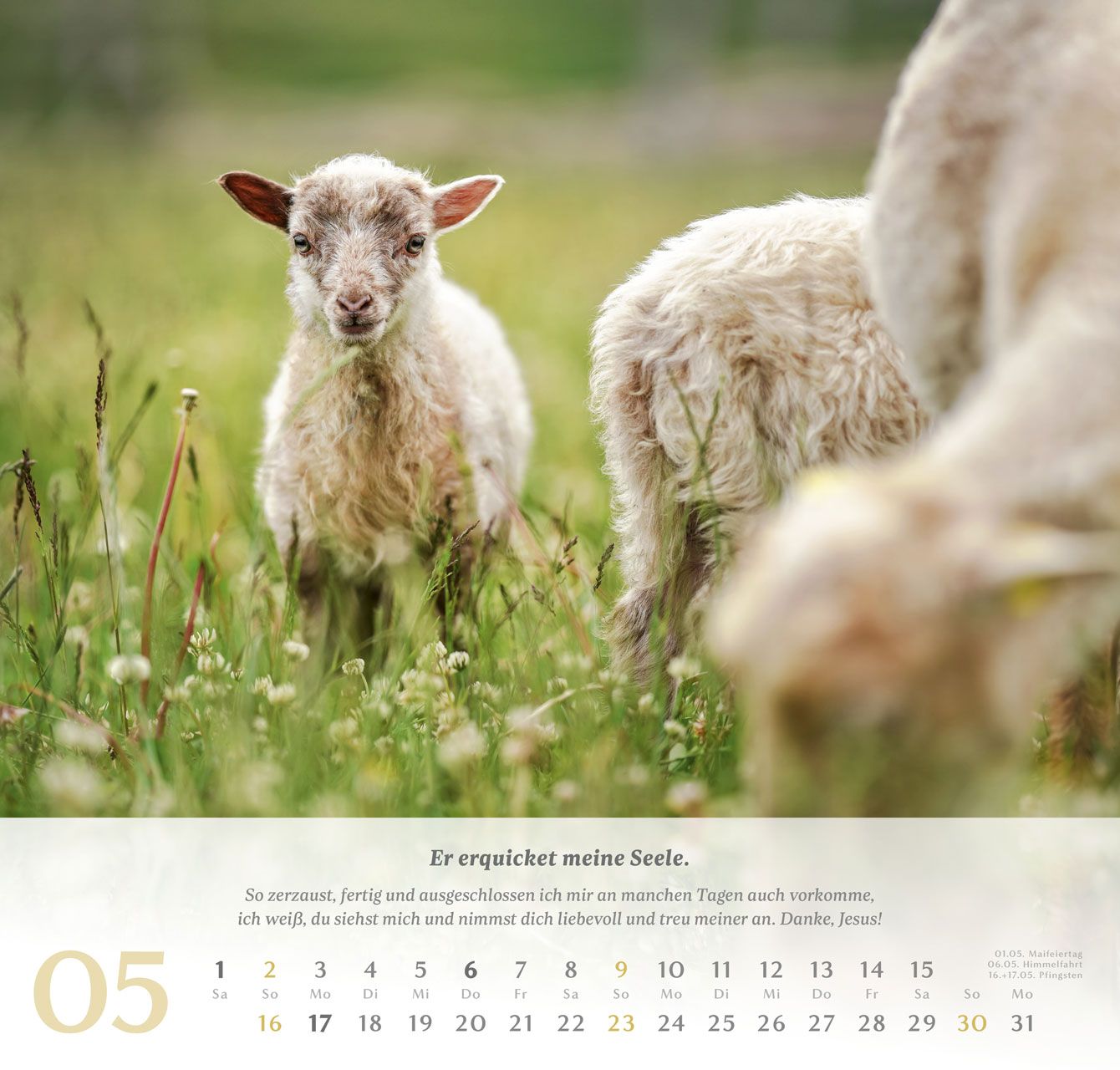 Wandkalender - Psalm 23 2027 Wandkalender