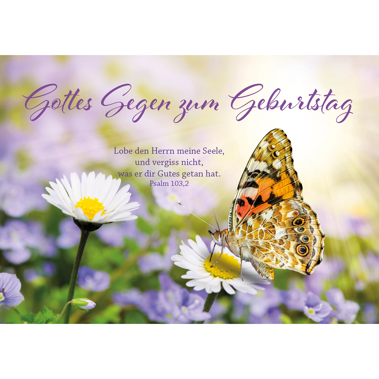 Postkarten - Gottes Segen zum Geburtstag - Schmetterling Gänseblümchen Blumen