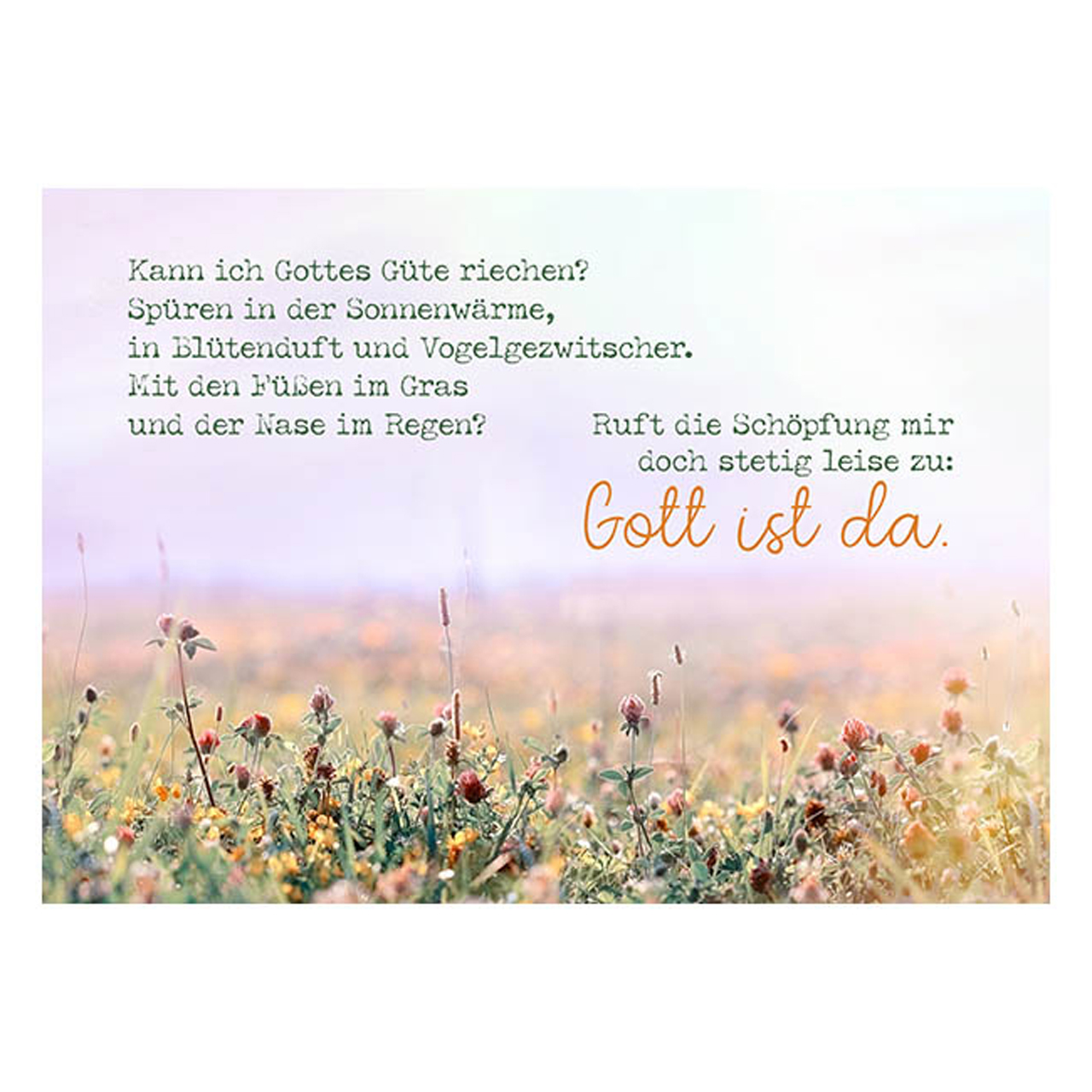 Postkarte - Postkarte Gott ist da 1Ex - Wiese Blumen Gestrüpp