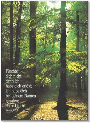 Poster - Fürchte dich nicht - Lichtung / Wald