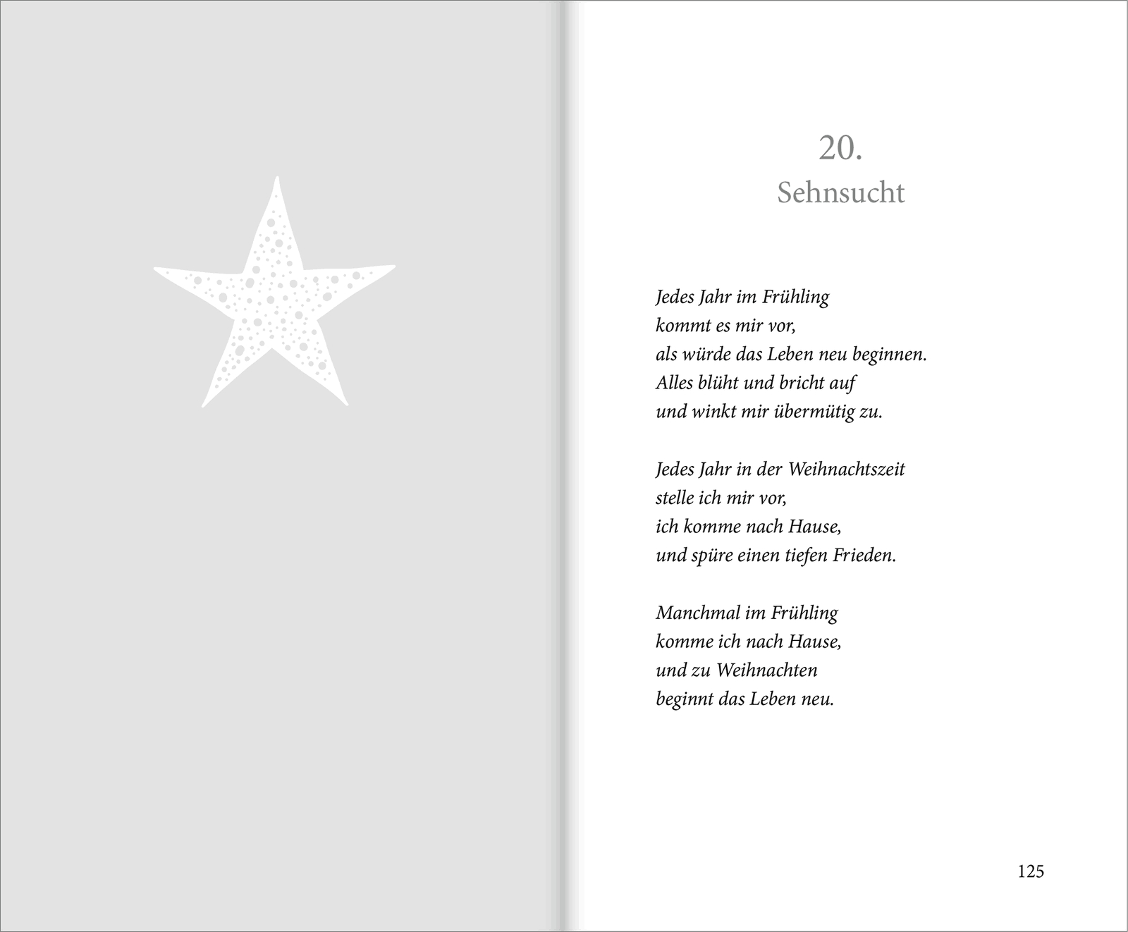 Buch - Hell leuchtet der Stern