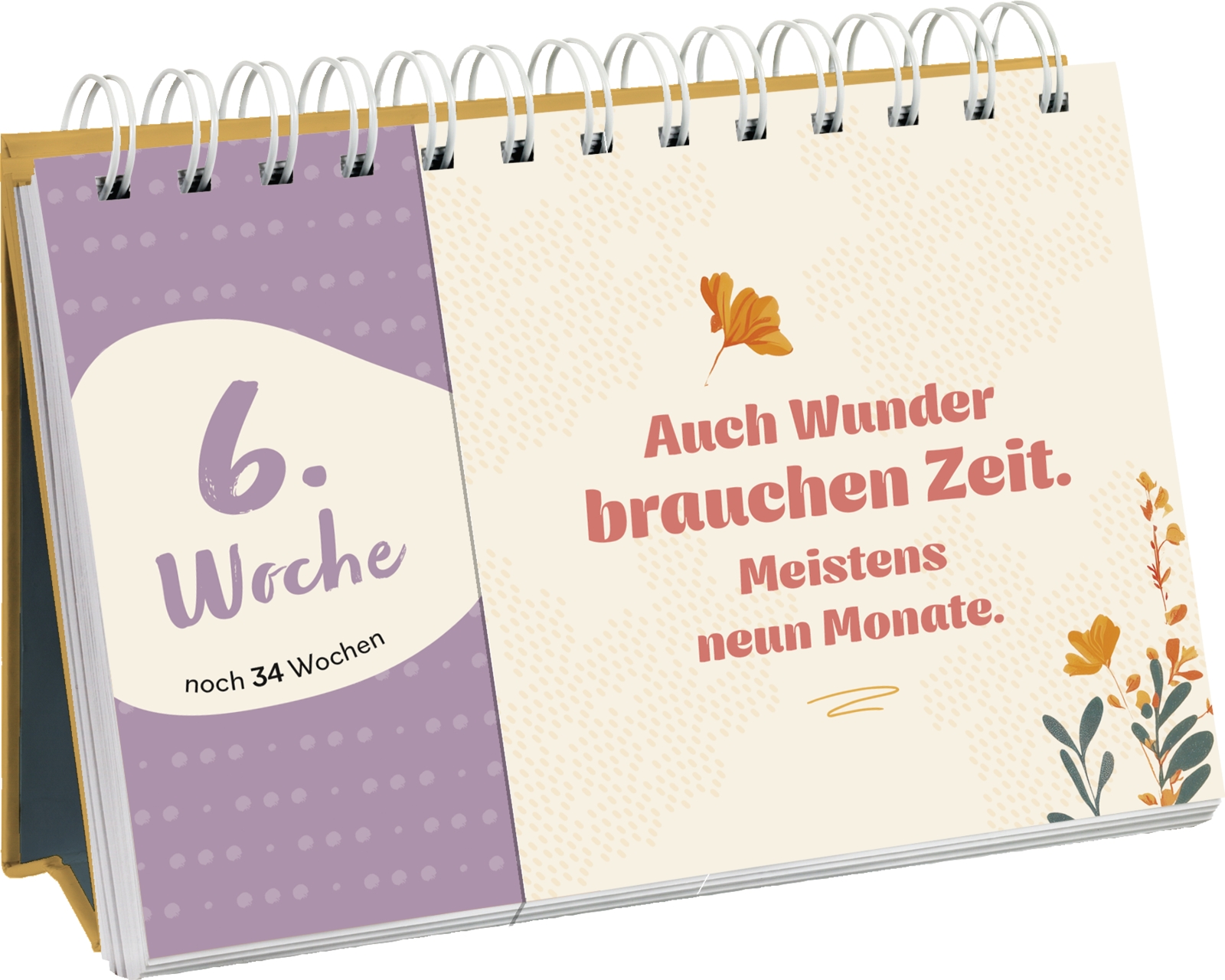 Aufstellbuch - Hurra, bald bist du da