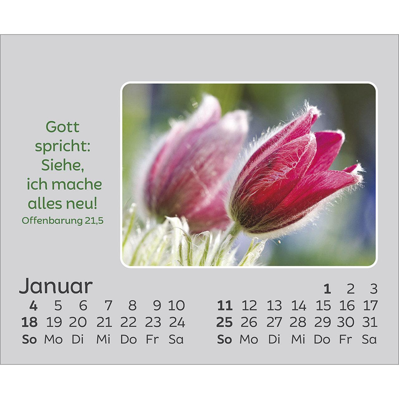 Tischkalender - Freude für jeden Tag 2026