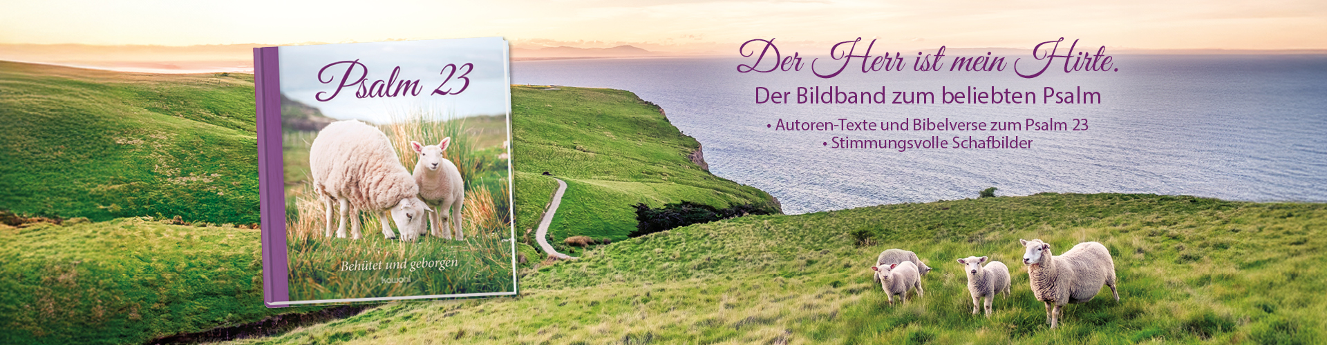 Grüne Hügel mit Schafen am Meer, darauf ist der Bildband Psalm 23 abgebildet, Text: Der Herr ist mein Hirte. Der Bildband zum beliebten Psalm • Autoren-Texte und Bibelverse zum Psalm 23  • Stimmungsvolle Schafbilder.