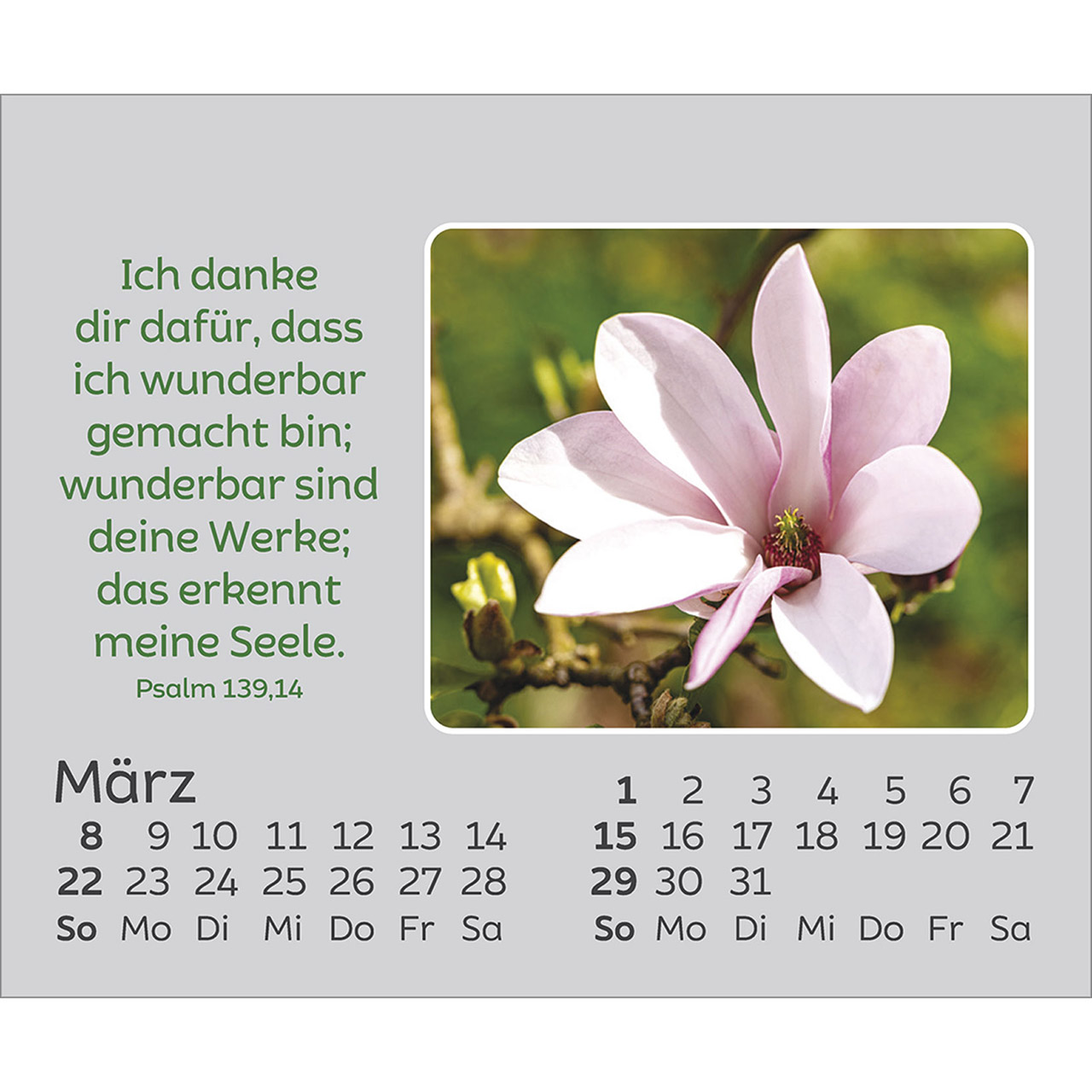 Tischkalender - Freude für jeden Tag 2026